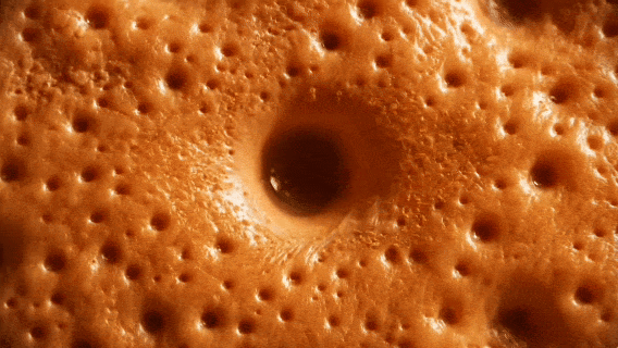 طفيليات المسام تحت المجهر